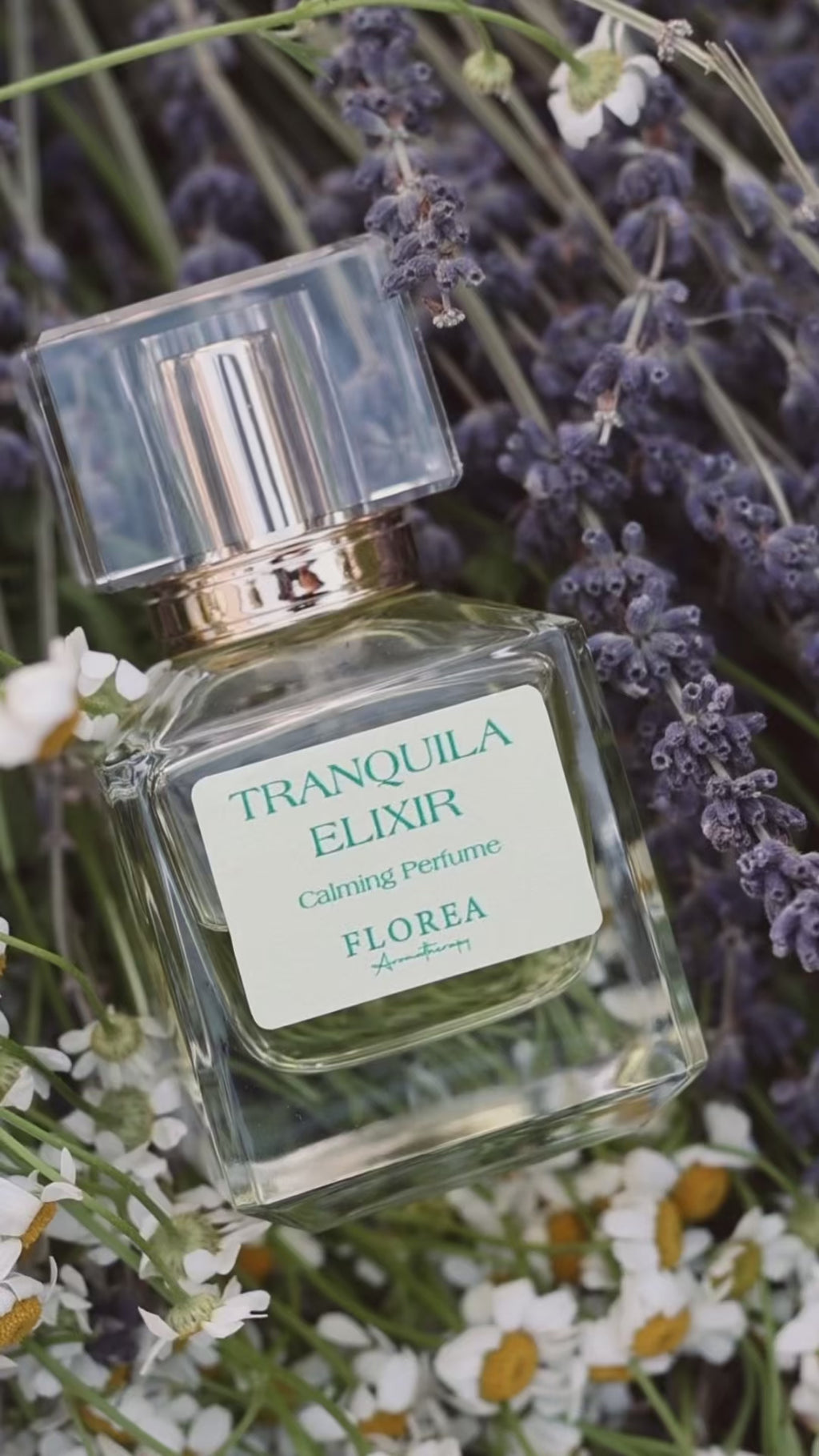 Tranquila Elixir
